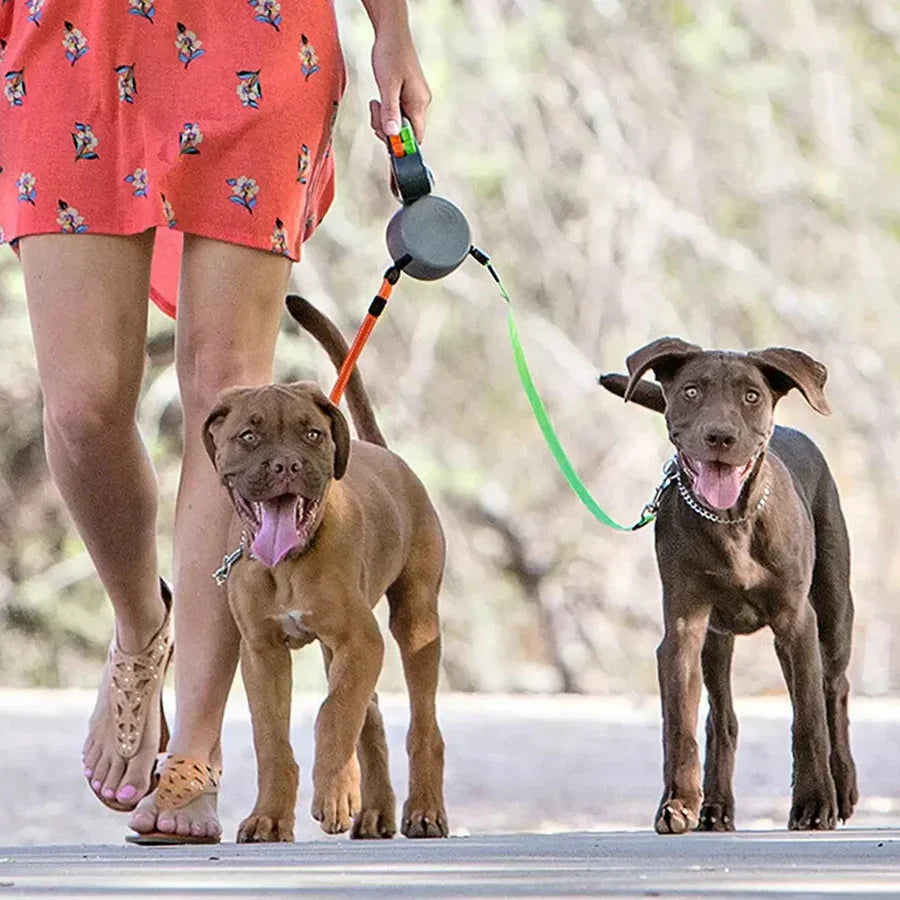 רצועת כלבים מולטי 🐶