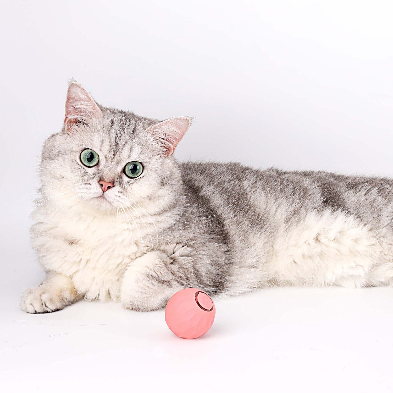 Cat Ball - toy for cats