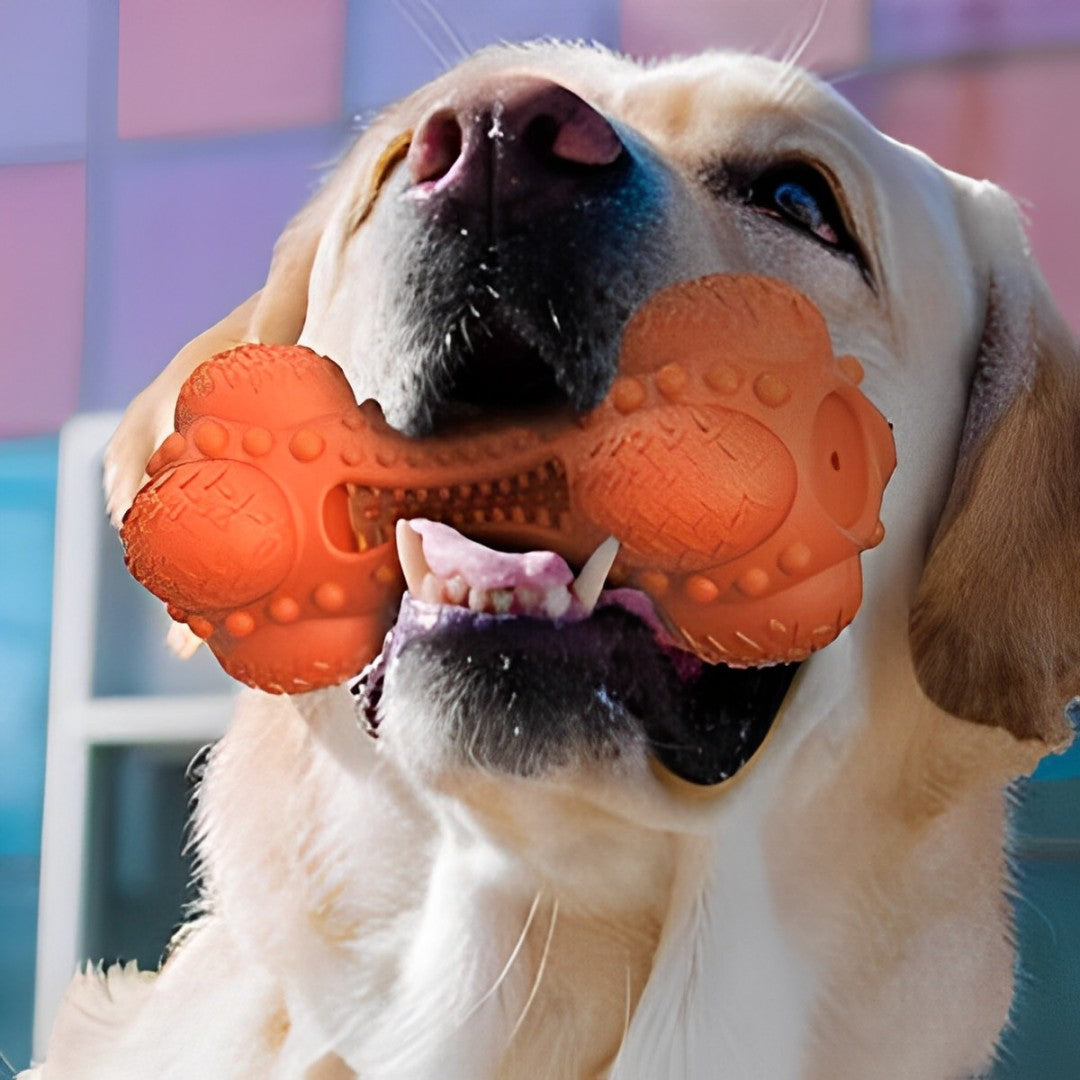 Rubber Bone with Toothbrush