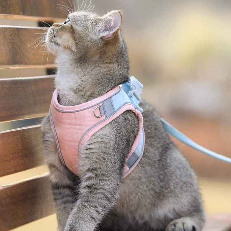 Reflective Cat Harness and Leash Collection