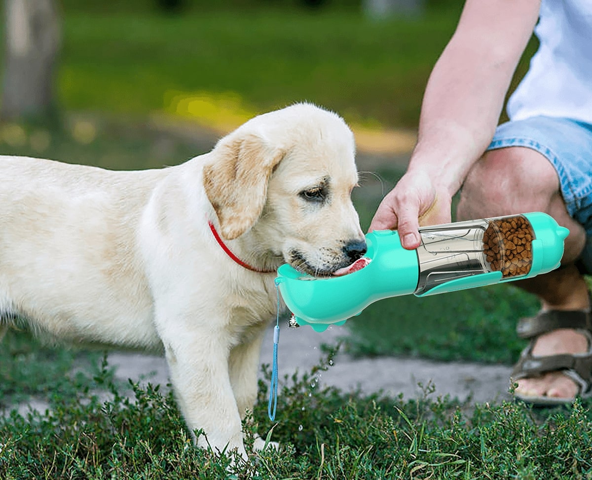 My Furry Friend™ - Reiseflasche