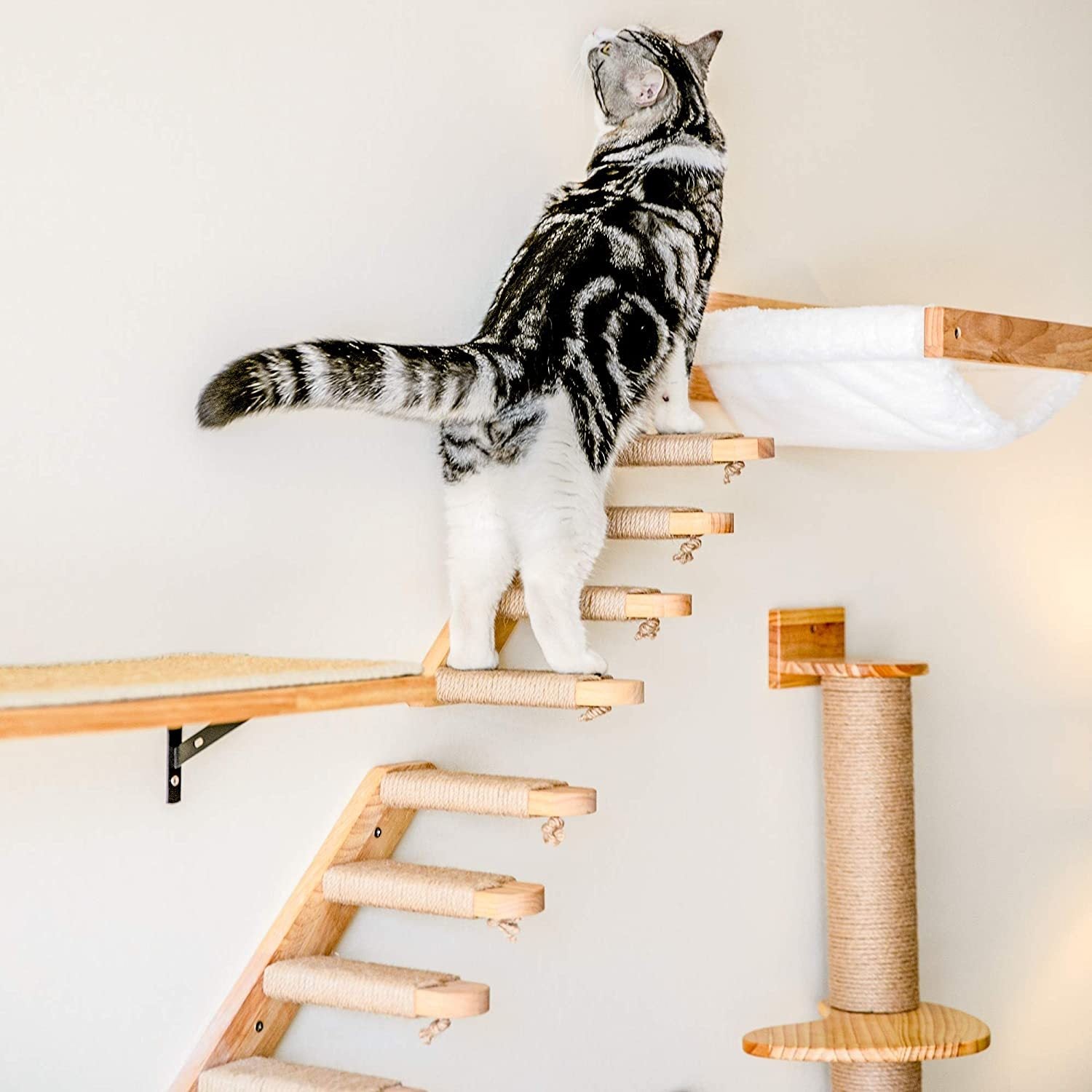 PinePaws Wall-Mounted Cat Springboard Stairs