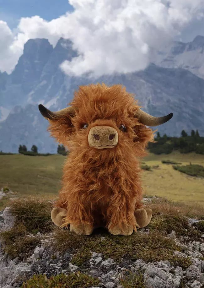 Peluche di mucca proveniente dalle Highlands scozzesi