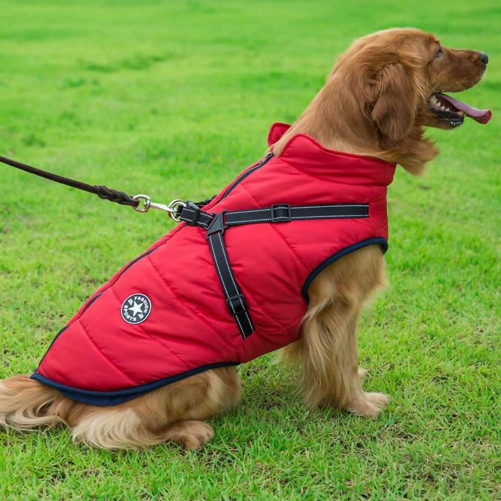 Veste pour chien ™