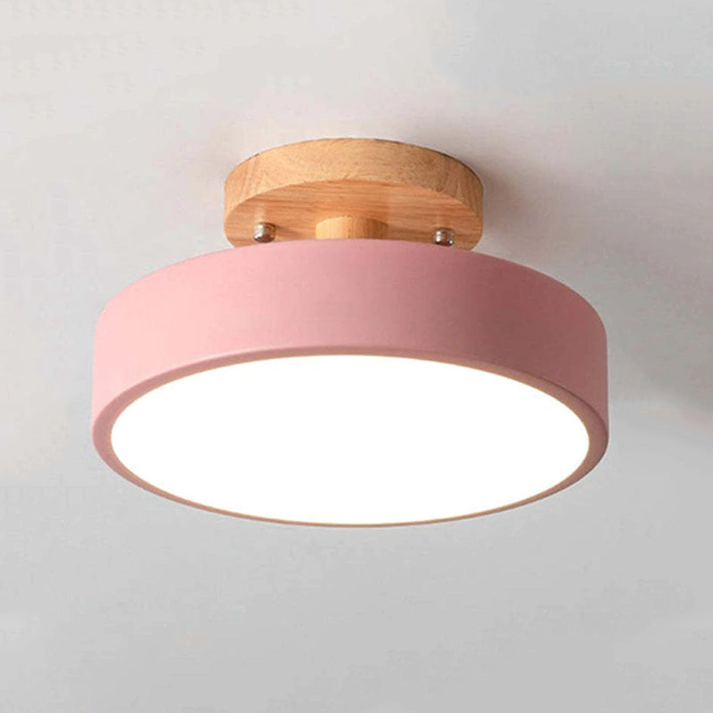 Quinn Modern LED Ceiling Lamp