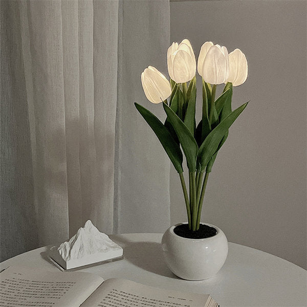 Tulip nattlampe