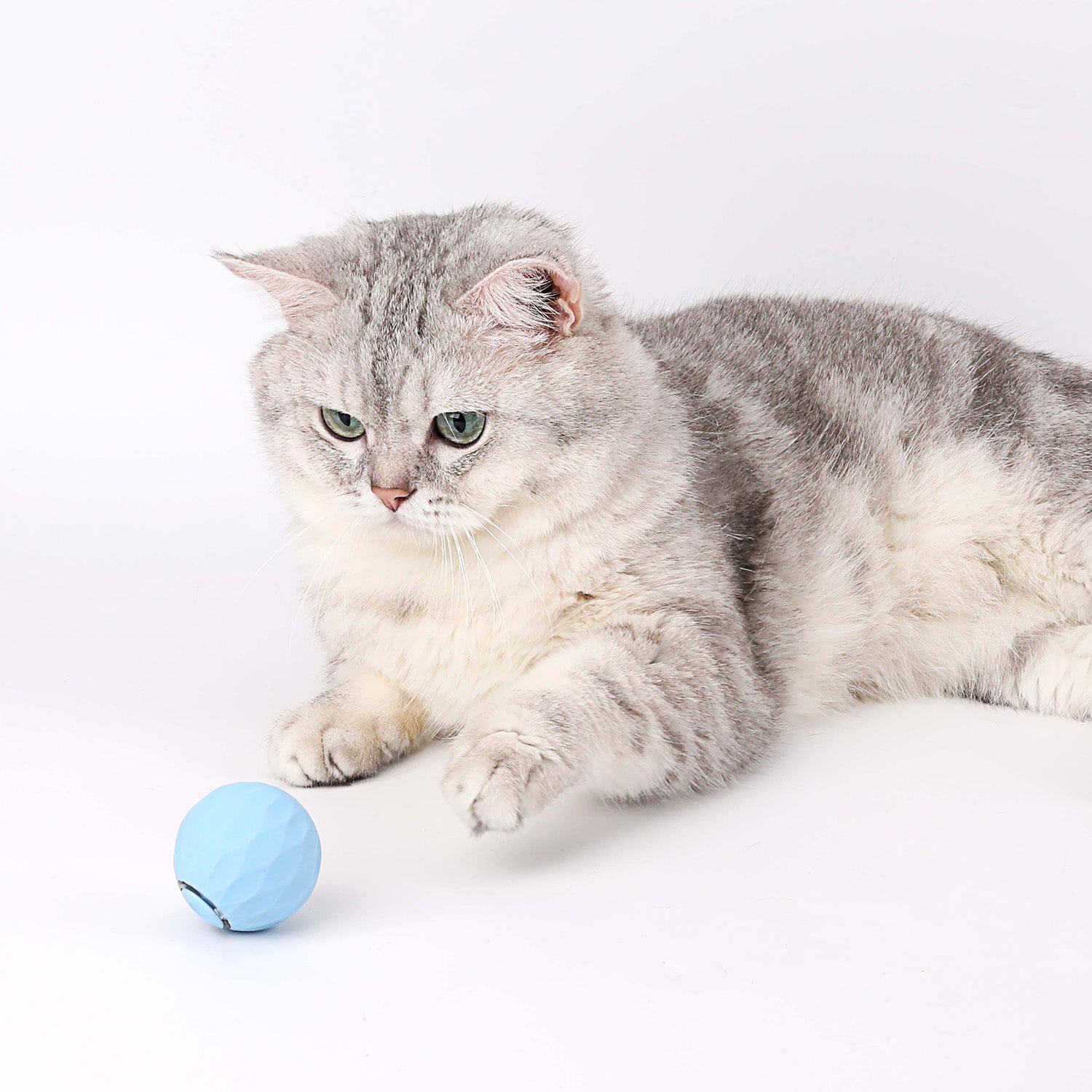 Cat Ball - toy for cats