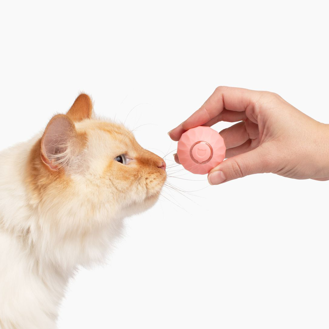 Cat Ball - toy for cats