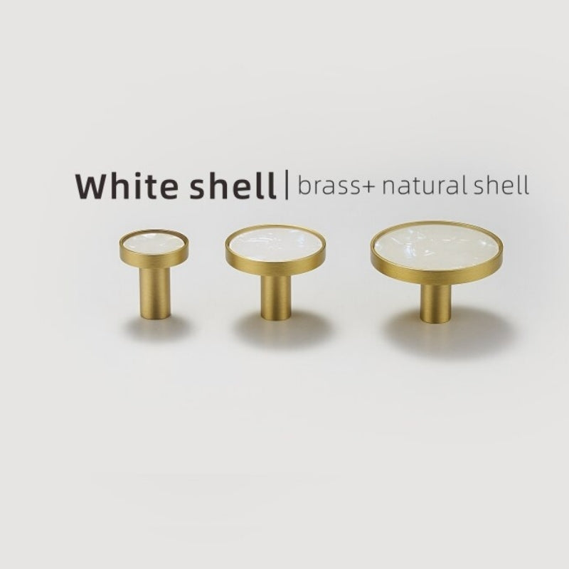 Sea Shell & Brass Wall Hooks Decorative