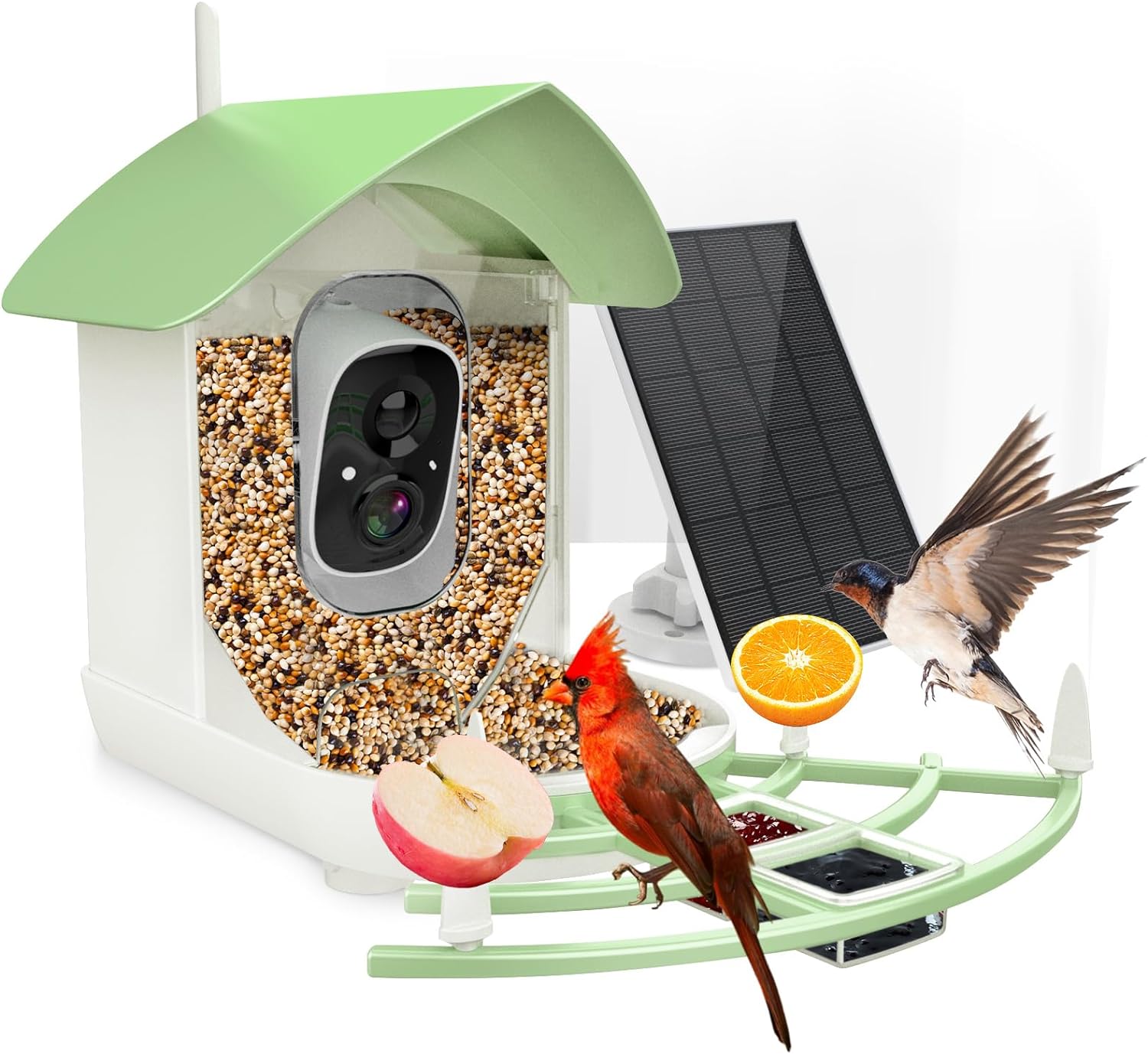 Smart Bird Feeder Camera with AI Recognition & Night Vision