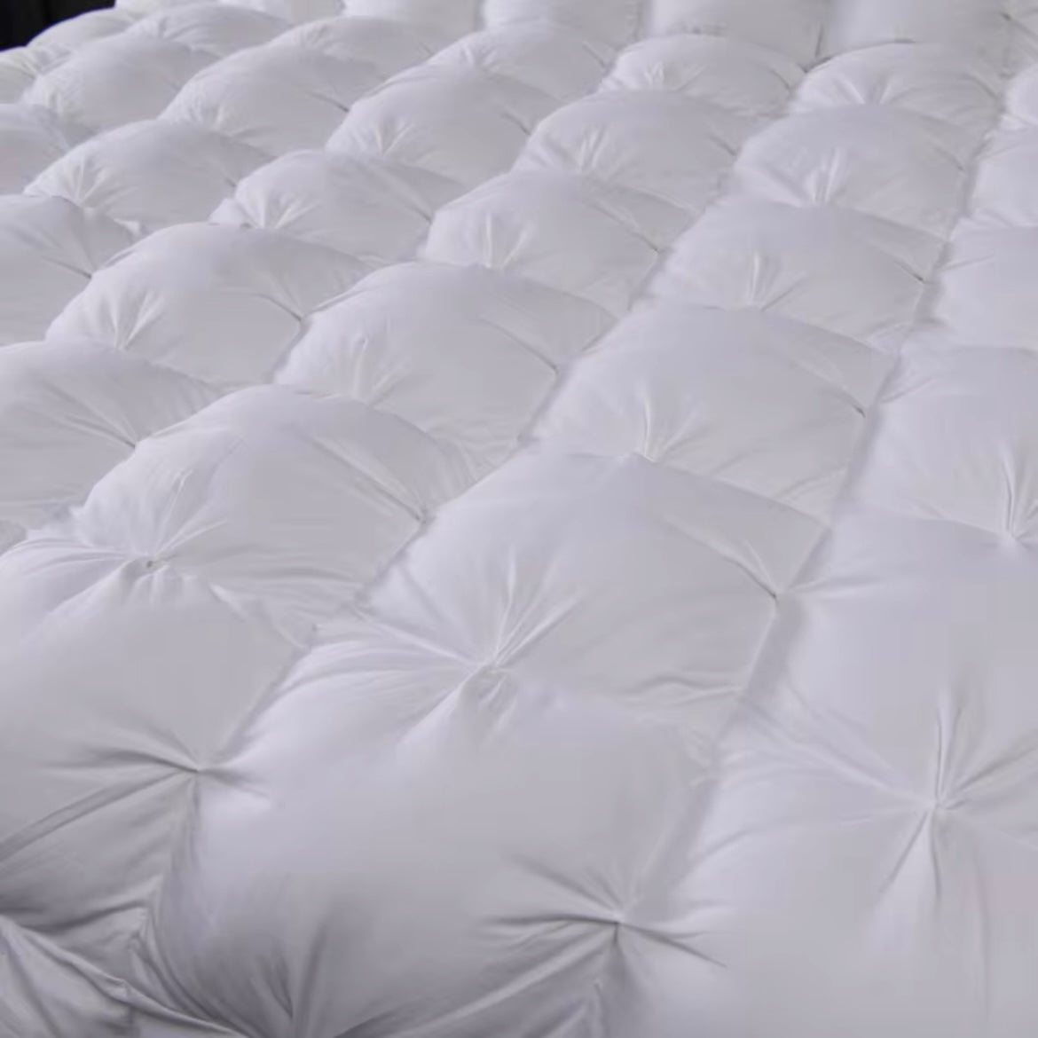 Splendore White Goose Down Comforter