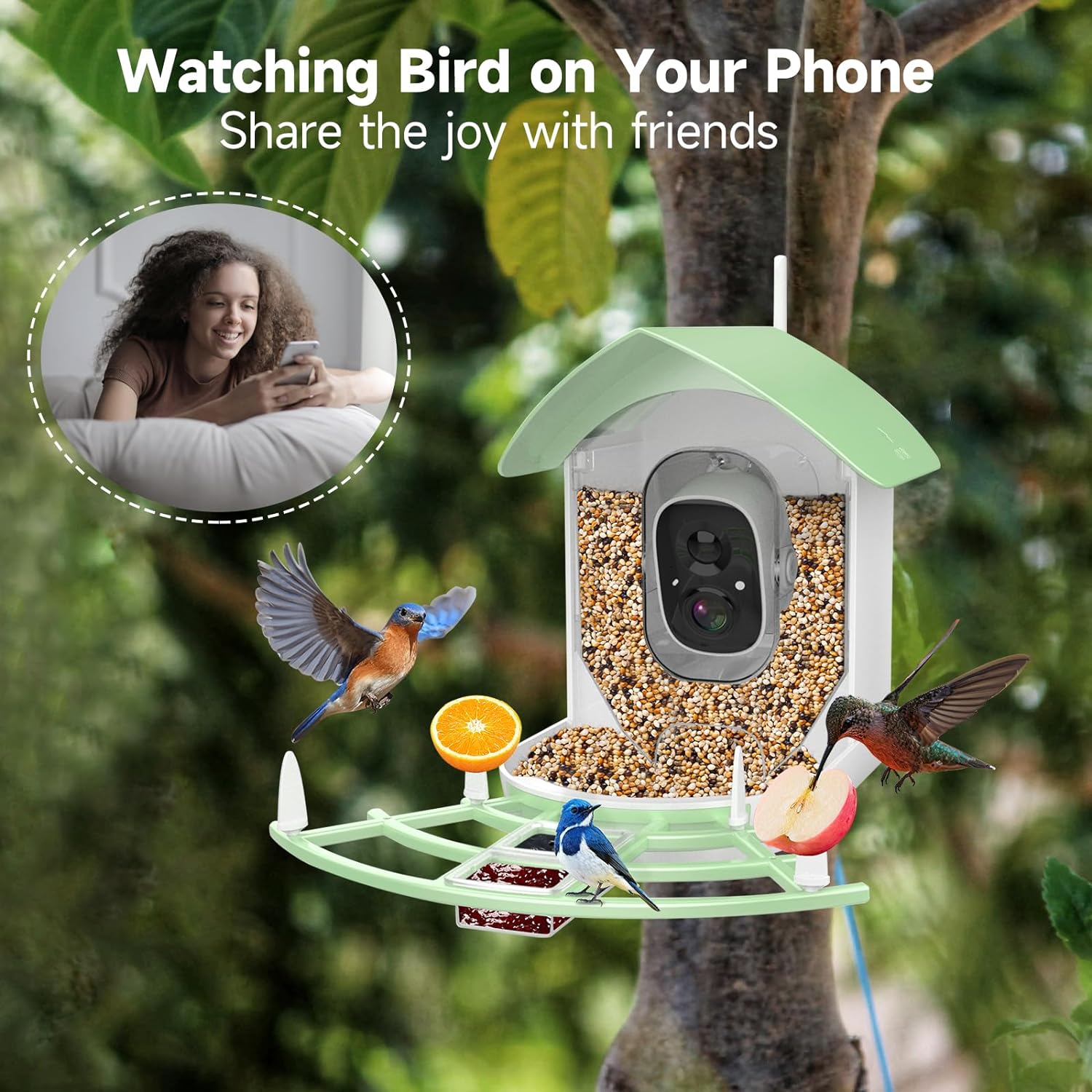 Smart Bird Feeder Camera with AI Recognition & Night Vision