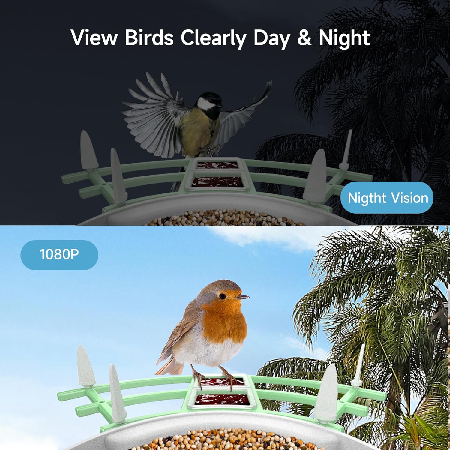 Smart Bird Feeder Camera with AI Recognition & Night Vision