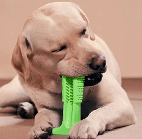 Indestructible Chew Toy for Aggressive Chewers - Teeth Cleaning and Interactive Play