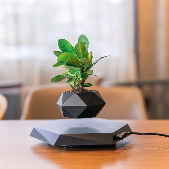 Macetero levitante: ¡Elegancia y tecnología para tus plantas!