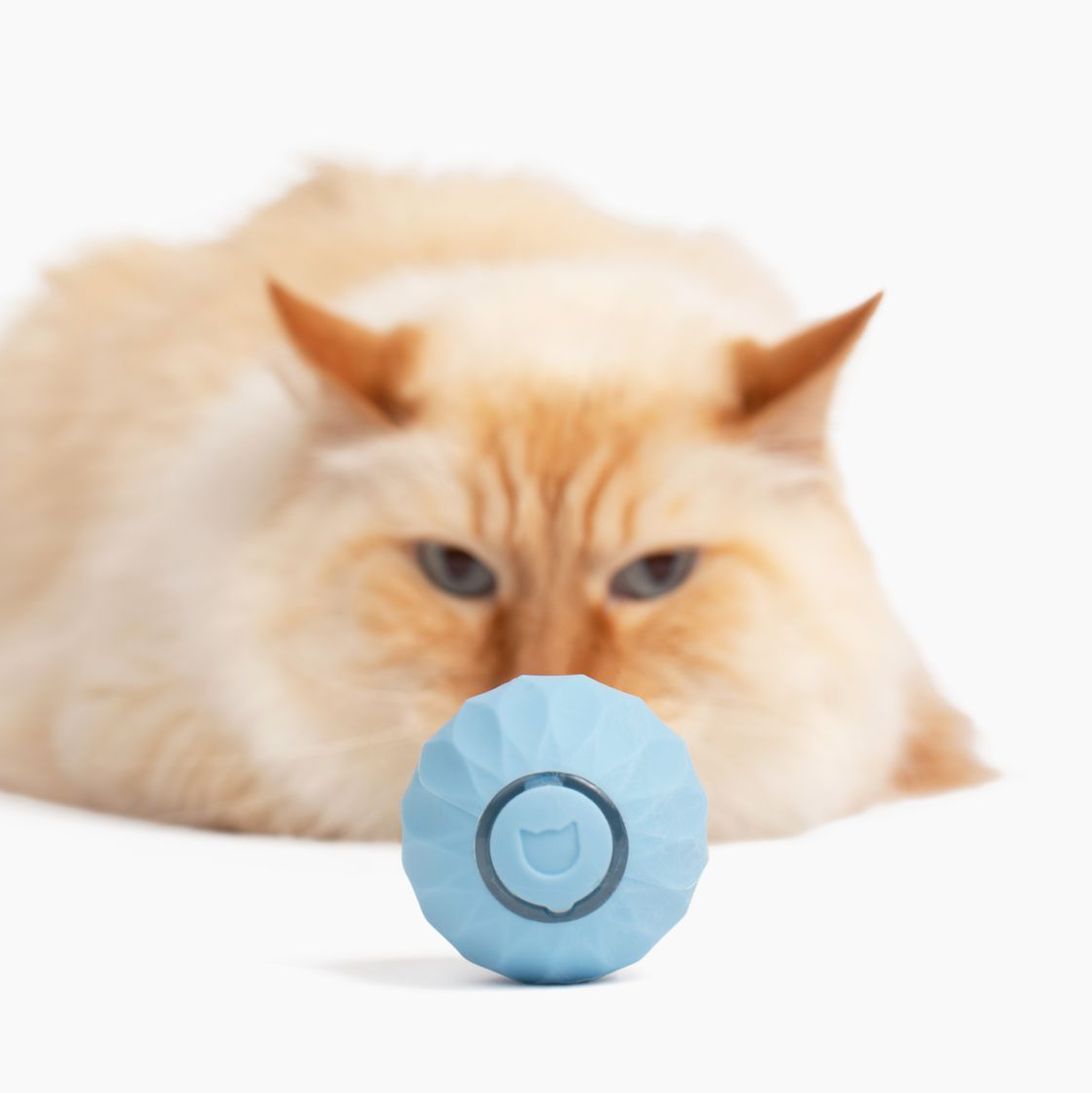 Katze Ball - Spielzeug für Katzen