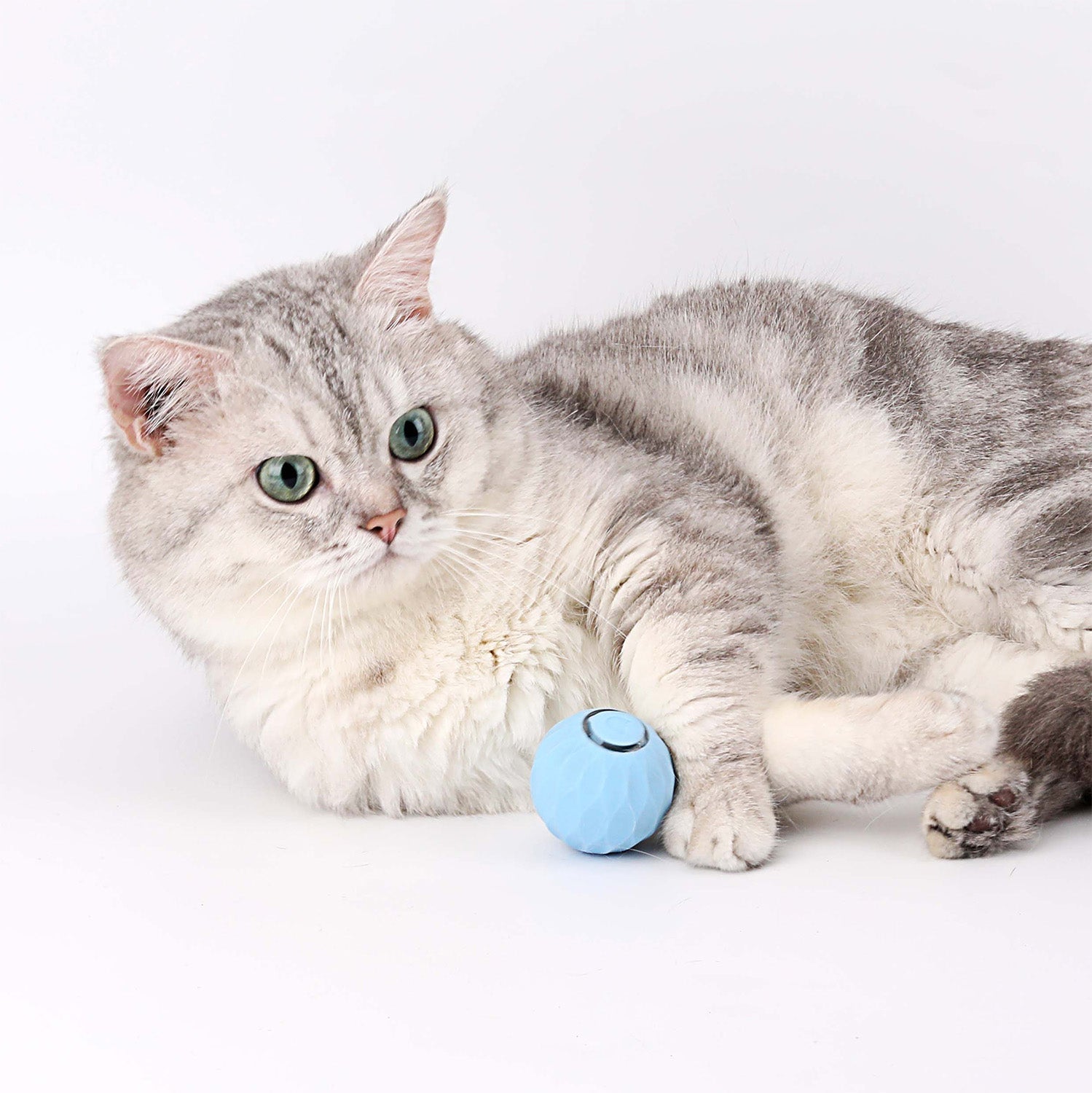 Kat Bal - speelgoed voor katten