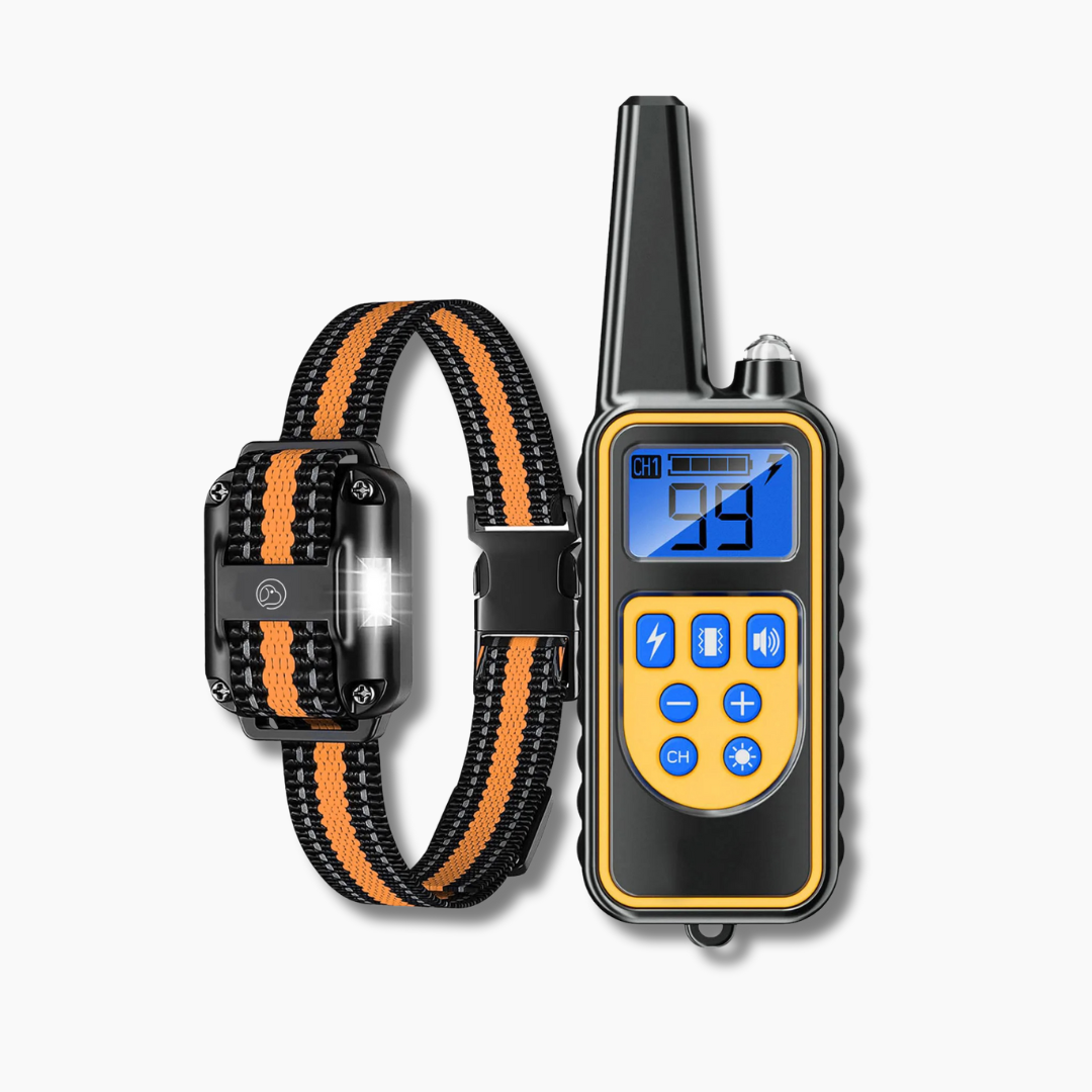 Collier de dressage avancé pour chien avec télécommande - 3 modes de dressage (bip, vibration, choc)