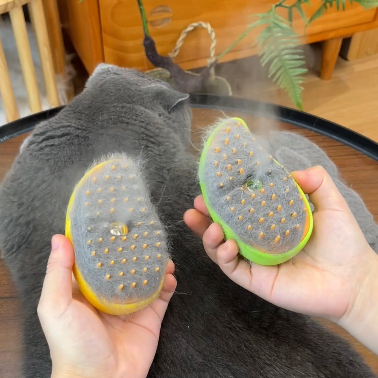 Brosse à vapeur pour chat