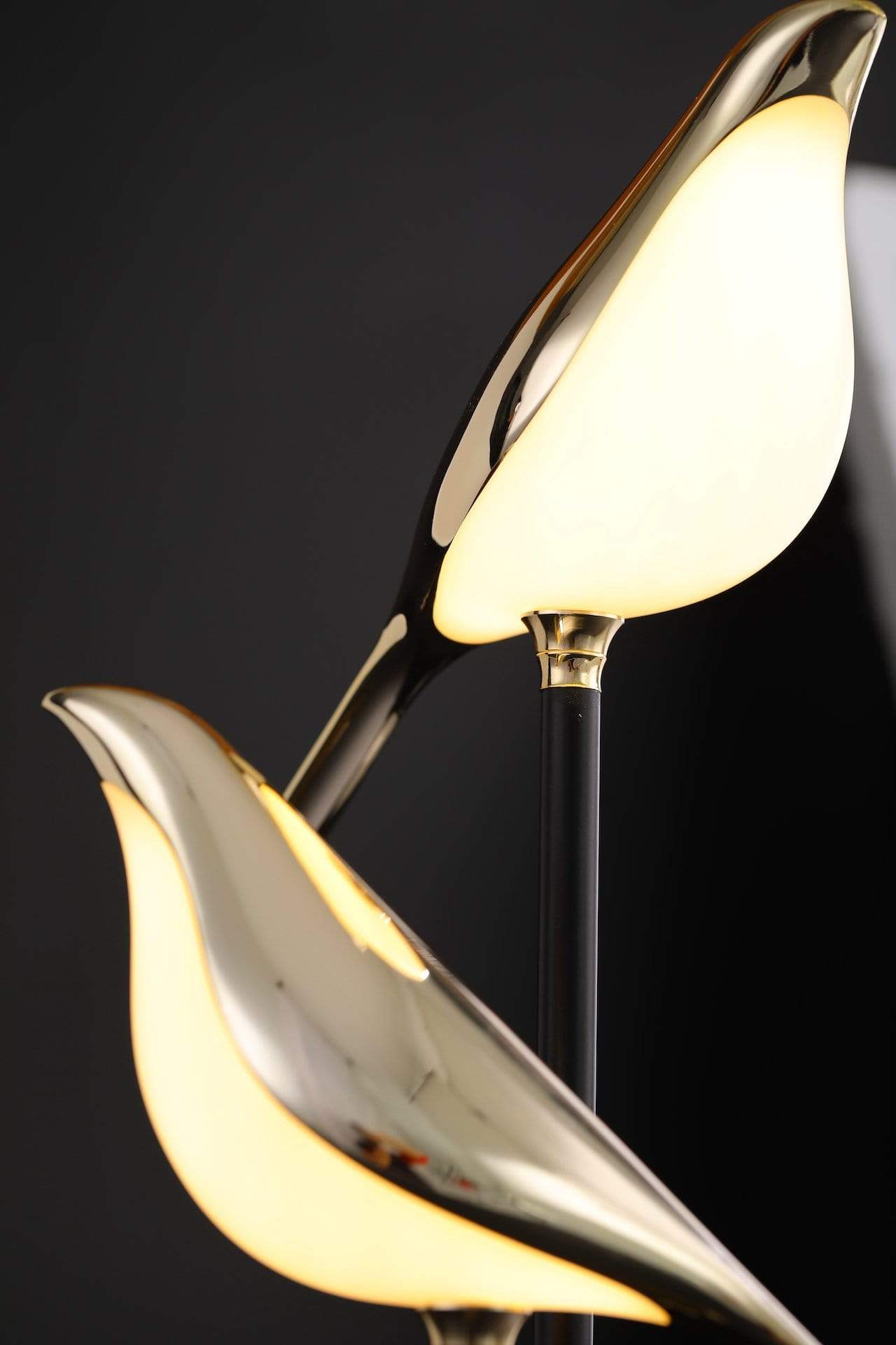 The Eggi Birds Lamp