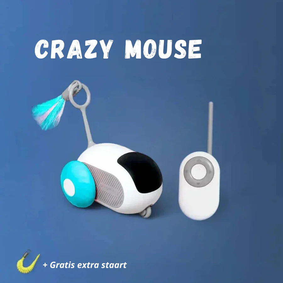 Crazy Mouse 🐭