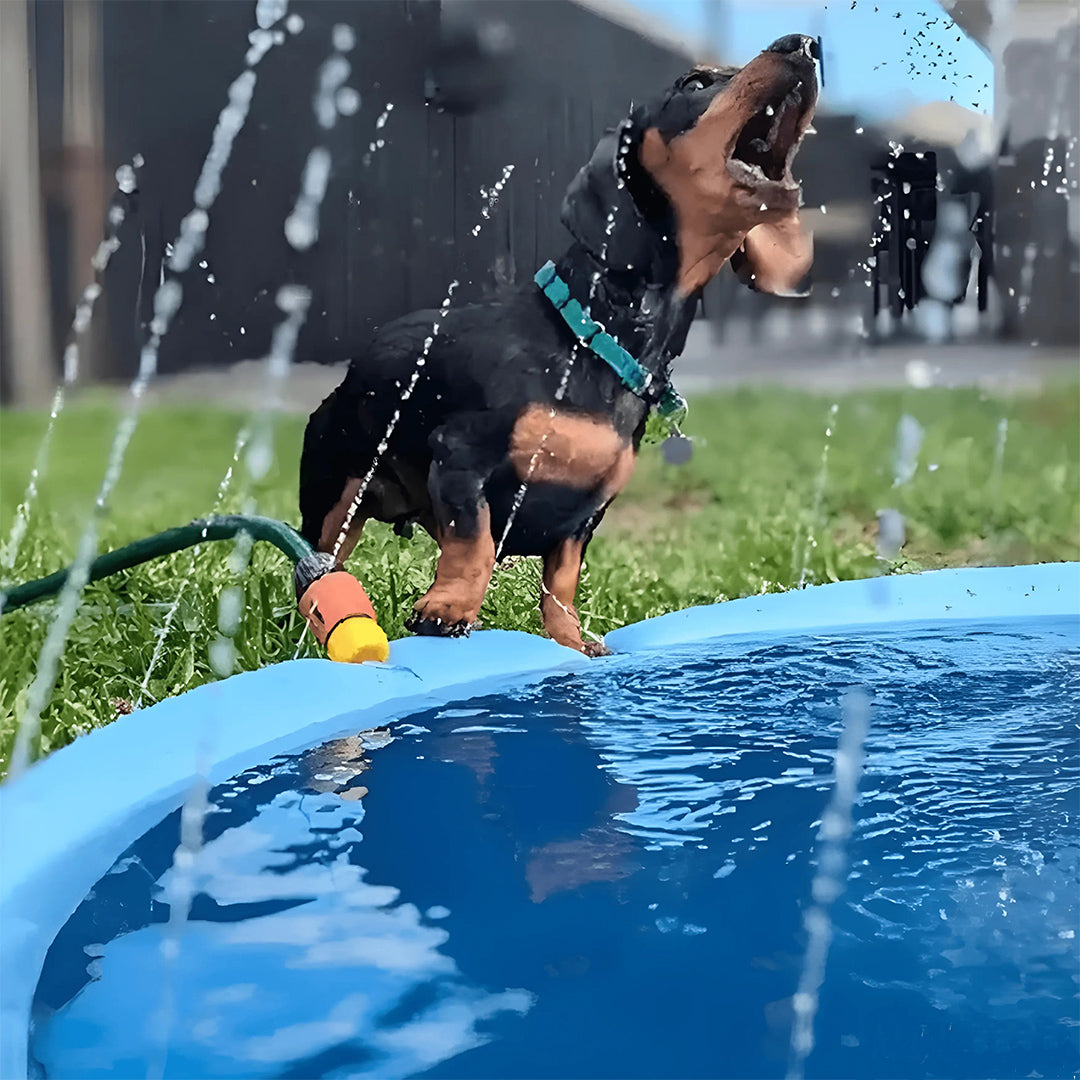 Pawss™ Summer Splash Pad