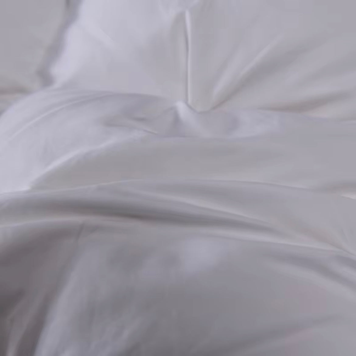 Splendore White Goose Down Comforter