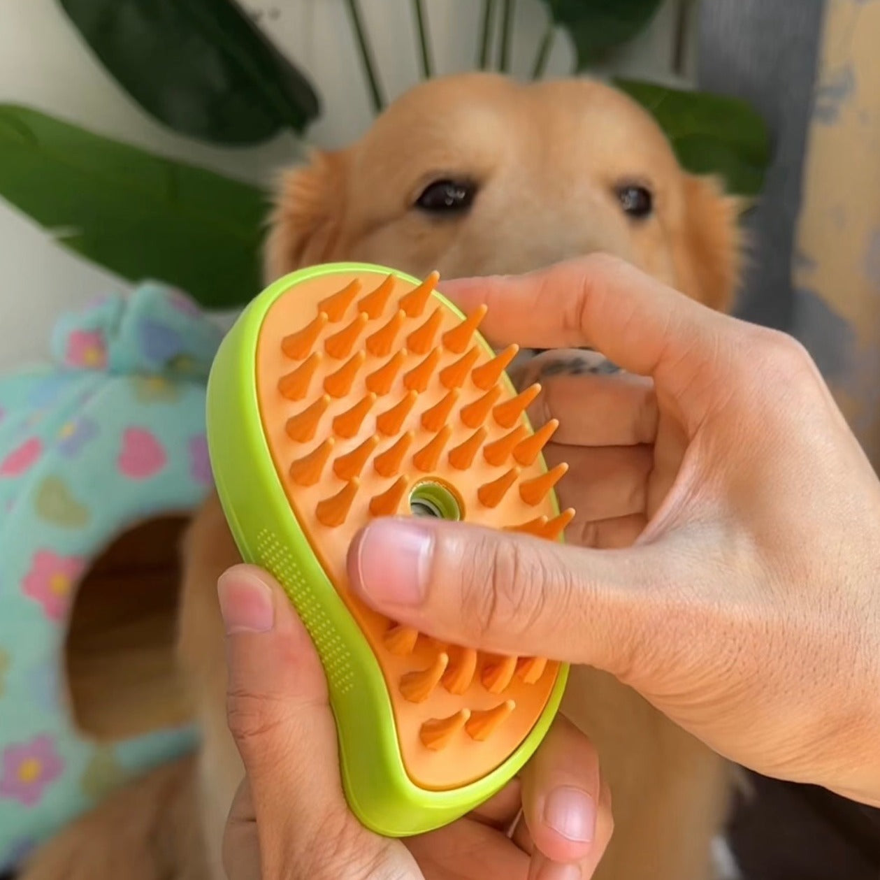 Brosse à vapeur pour chien