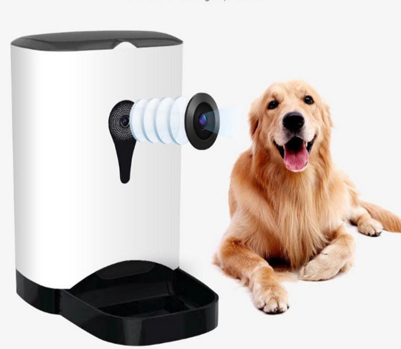 Dog Treat Camera