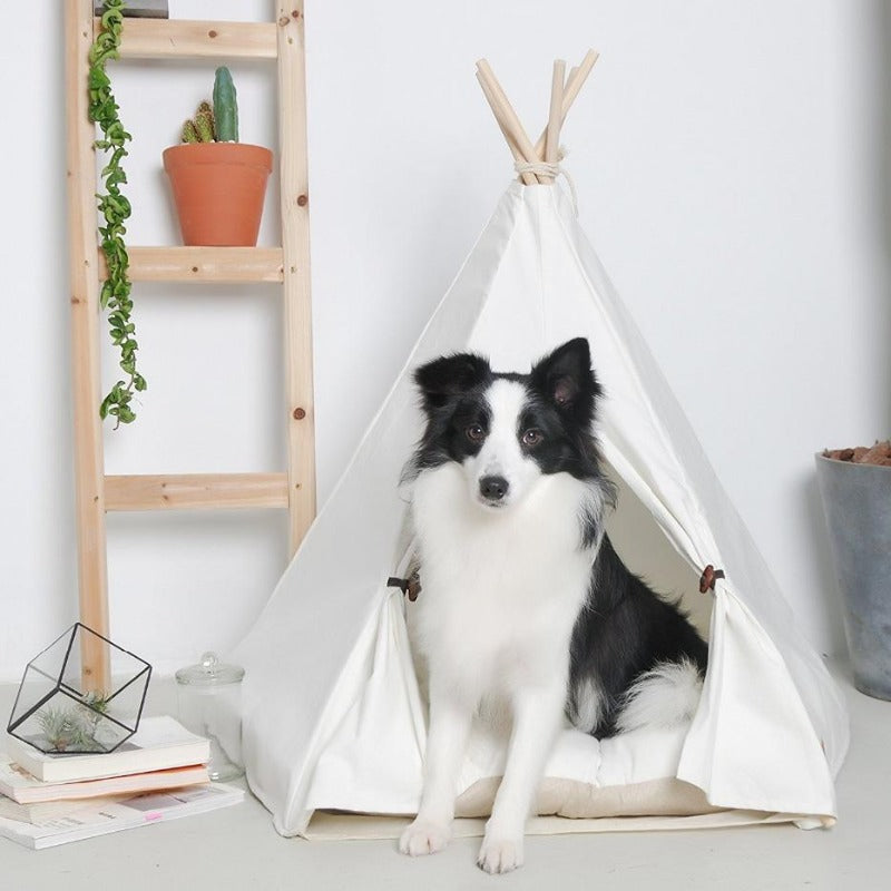 Modern Boho Dog Teepee with Plush Dog Bed Cushion