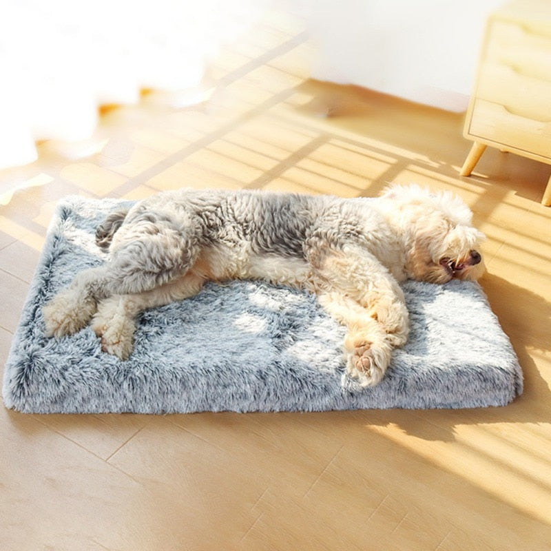 Plysch Ortopedisk Memory Foam Hundmadrass