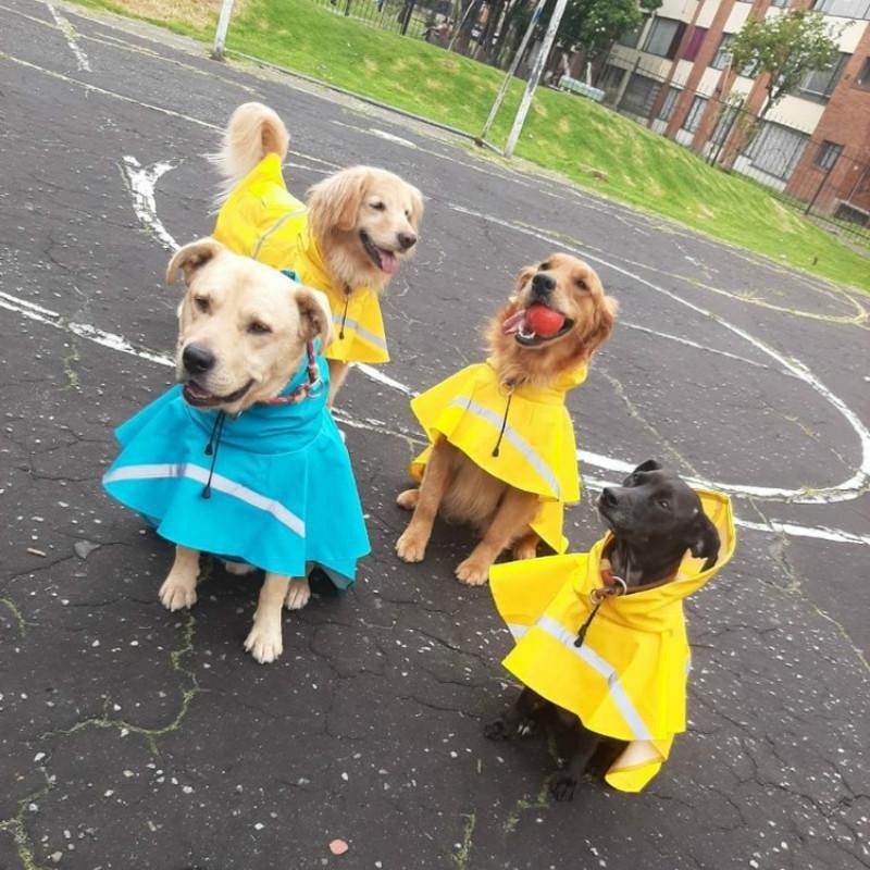 My Furry Friend™ - Reflective Raincoat