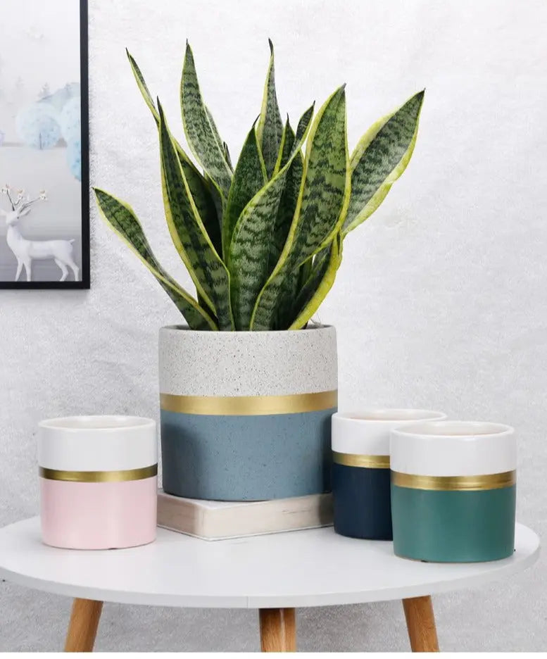 Vaso de Flores Moderno com Borda Dourada – Elegantes Vasos de Cerâmica para Plantas de Interior e Exterior