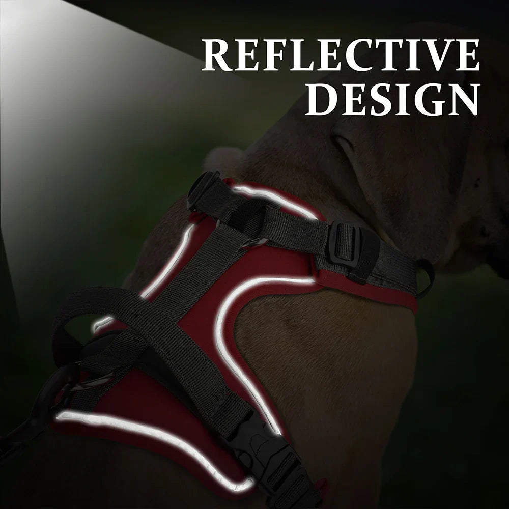 Arnés para perros Pawfey Agile con diseño reflectante y asa resistente