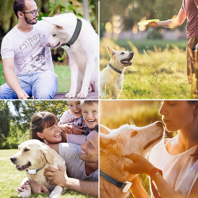 Collar de perro antiladridos con pantalla táctil impermeable recargable