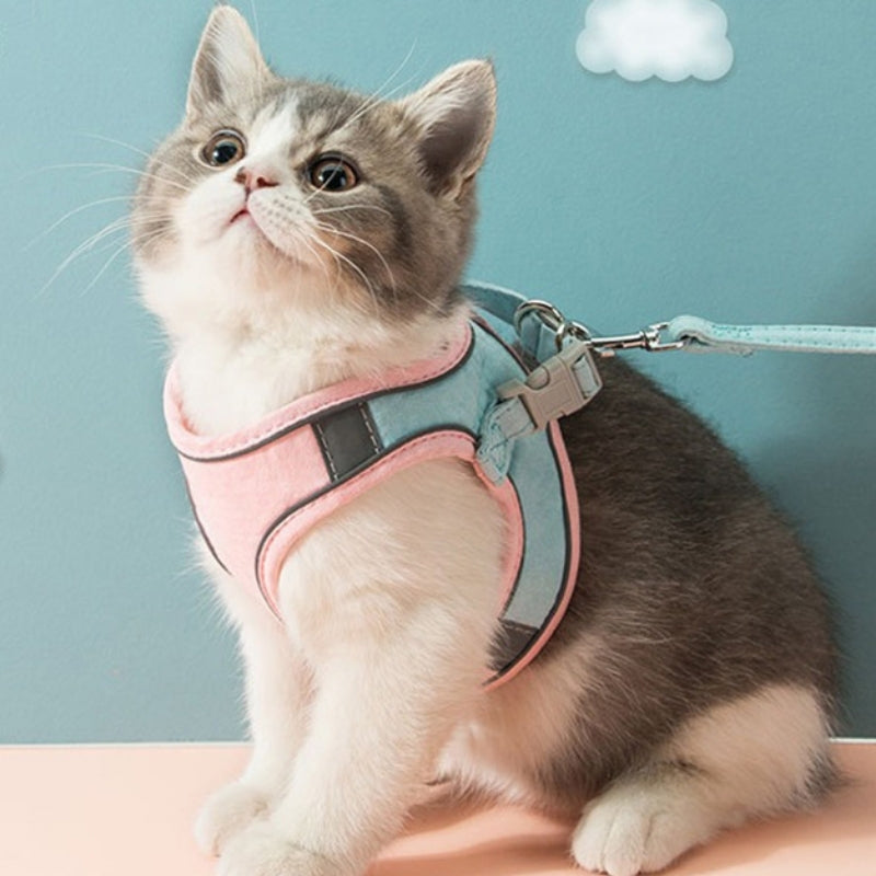 Reflective Cat Harness and Leash Collection