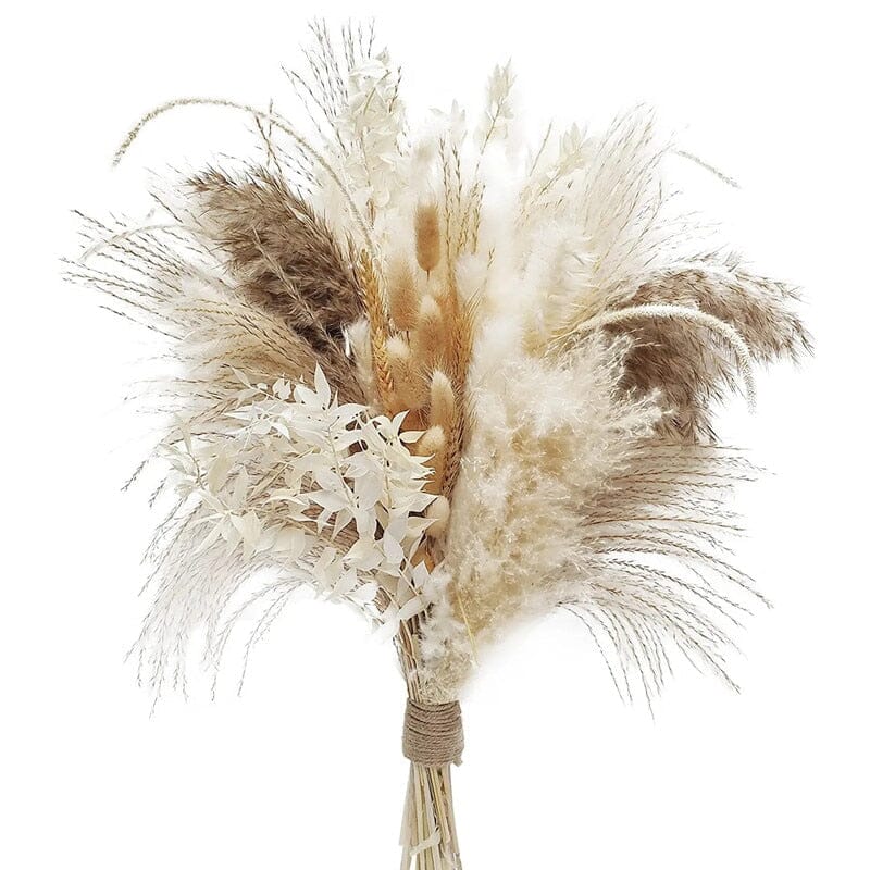 Bouquet di Pampas Essiccato Naturale da 80PCS