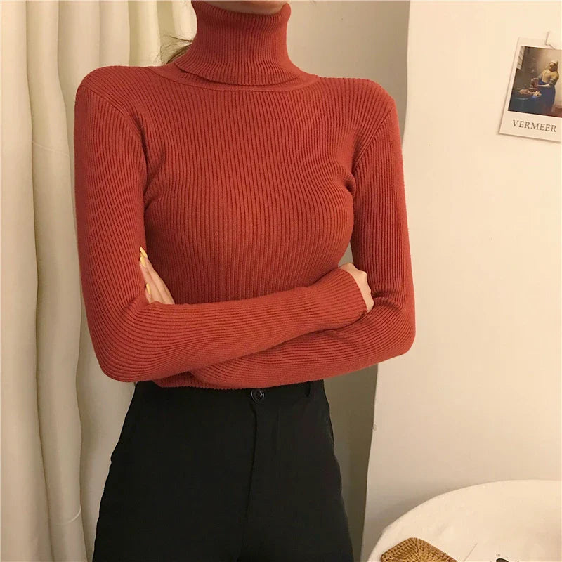 Helia Turtleneck Sweater with Cashmere