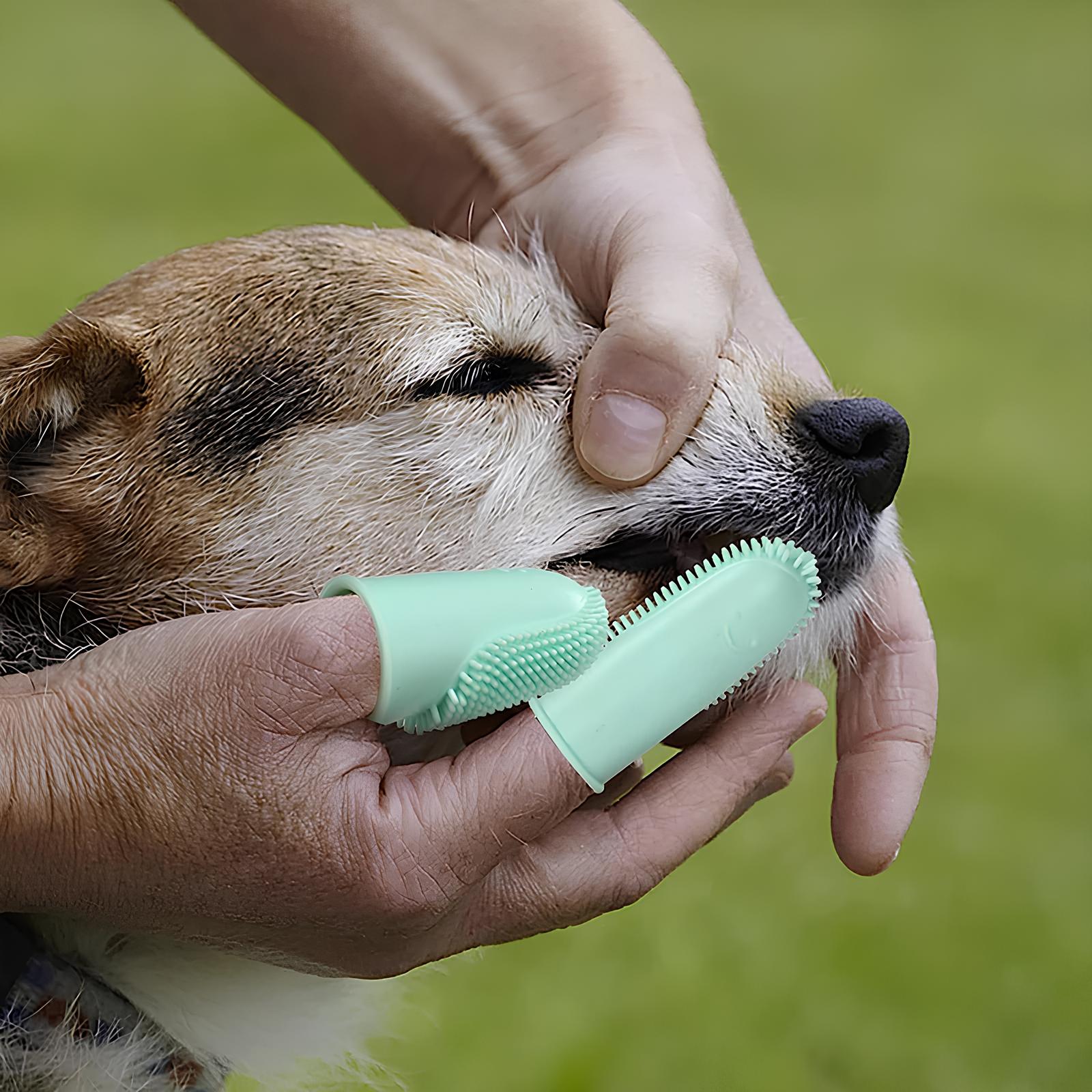 Hunde silikone fingertandbørste