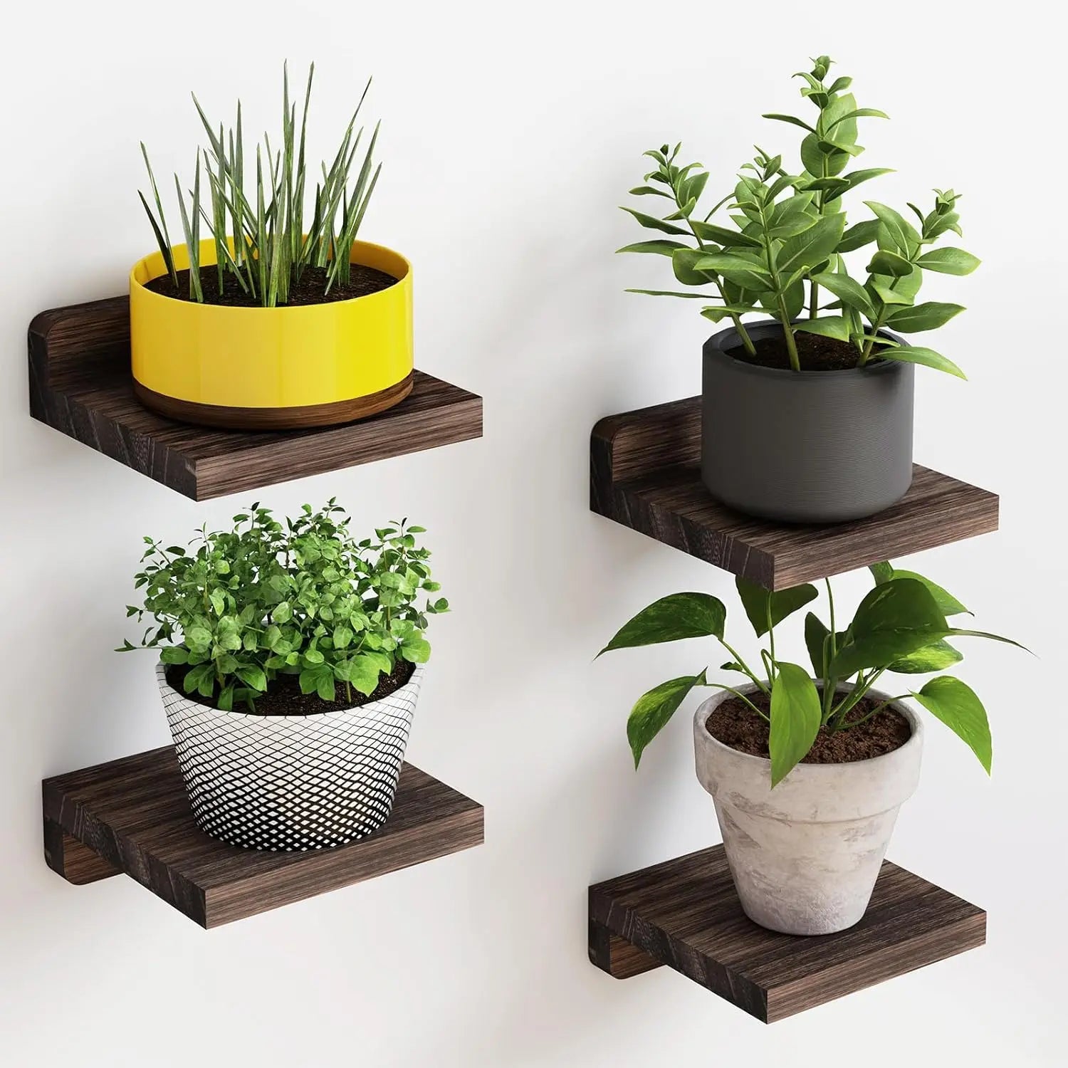 4-Pack Small Floating Wood Shelves