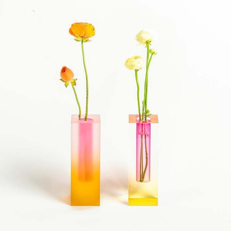 Vasos de plantas vibrantes