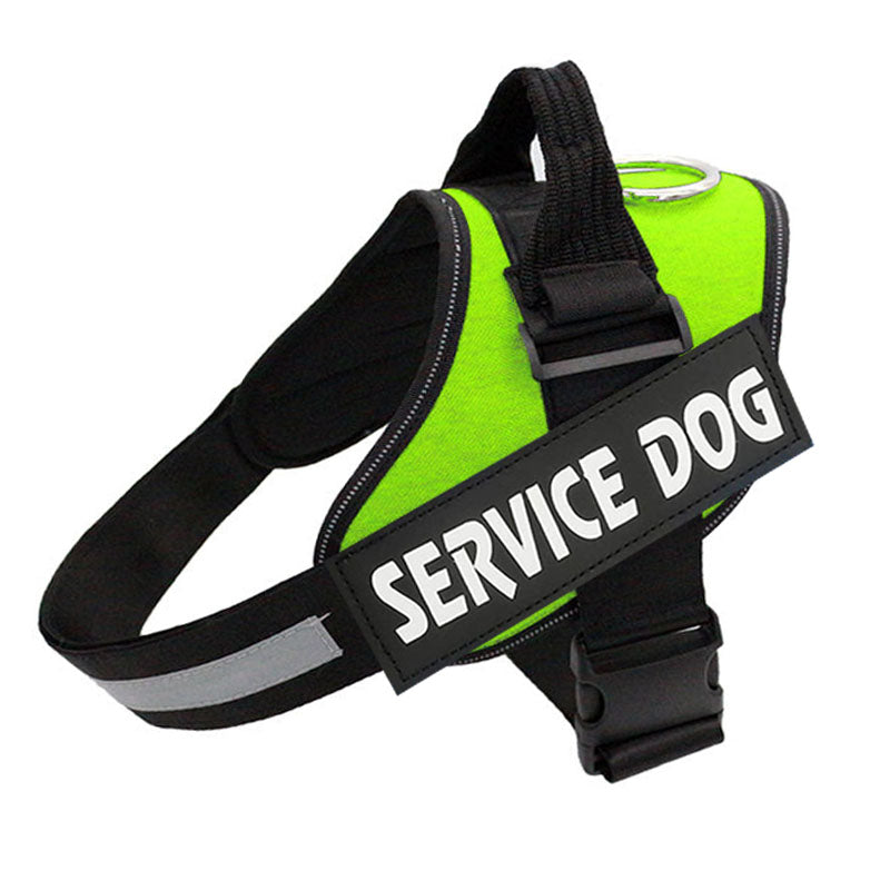 My Furry Friend™ - Customisable Power Harness