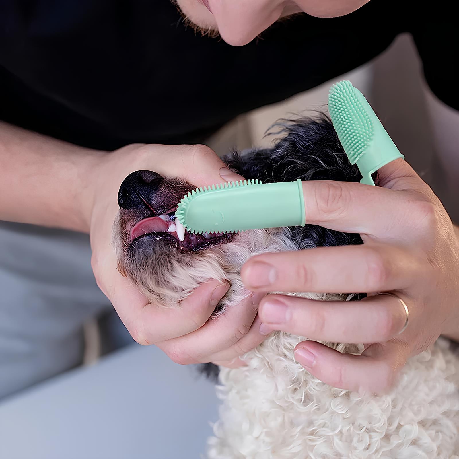 Brosse à dents en silicone pour chien