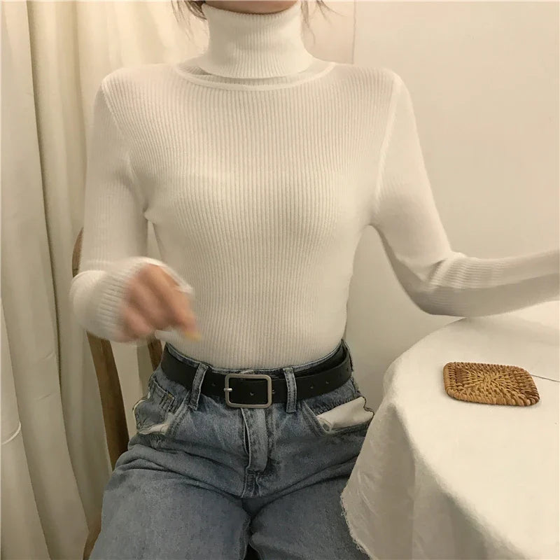 Helia Turtleneck Sweater with Cashmere