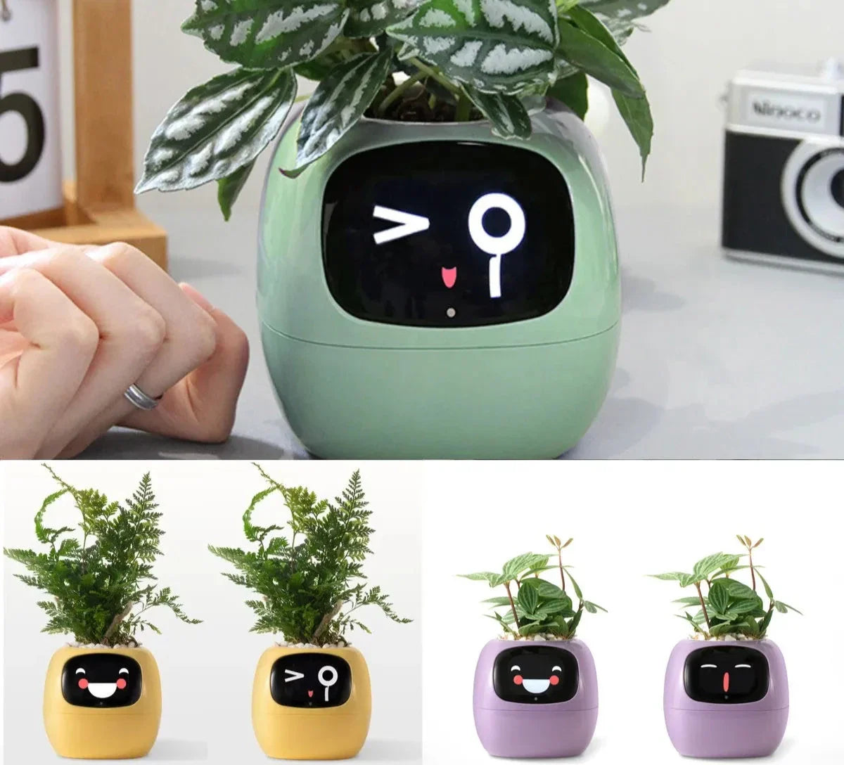 Ivy's Smart Planter: 49 Expressões & Sensores de IA para Cuidado de Plantas