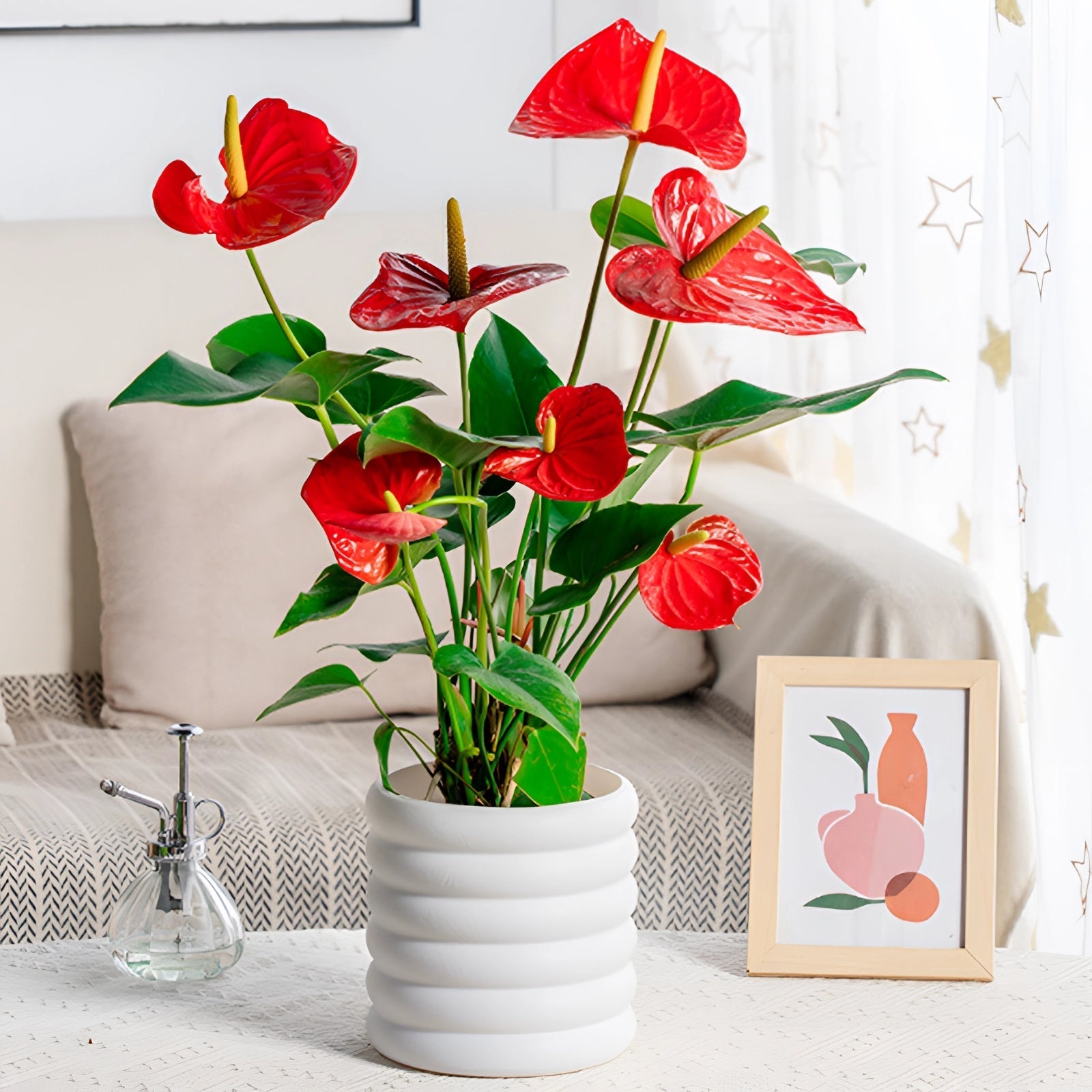 Lírio da Paz em Vaso Branco - Decoração Purificadora de Ar para Interiores