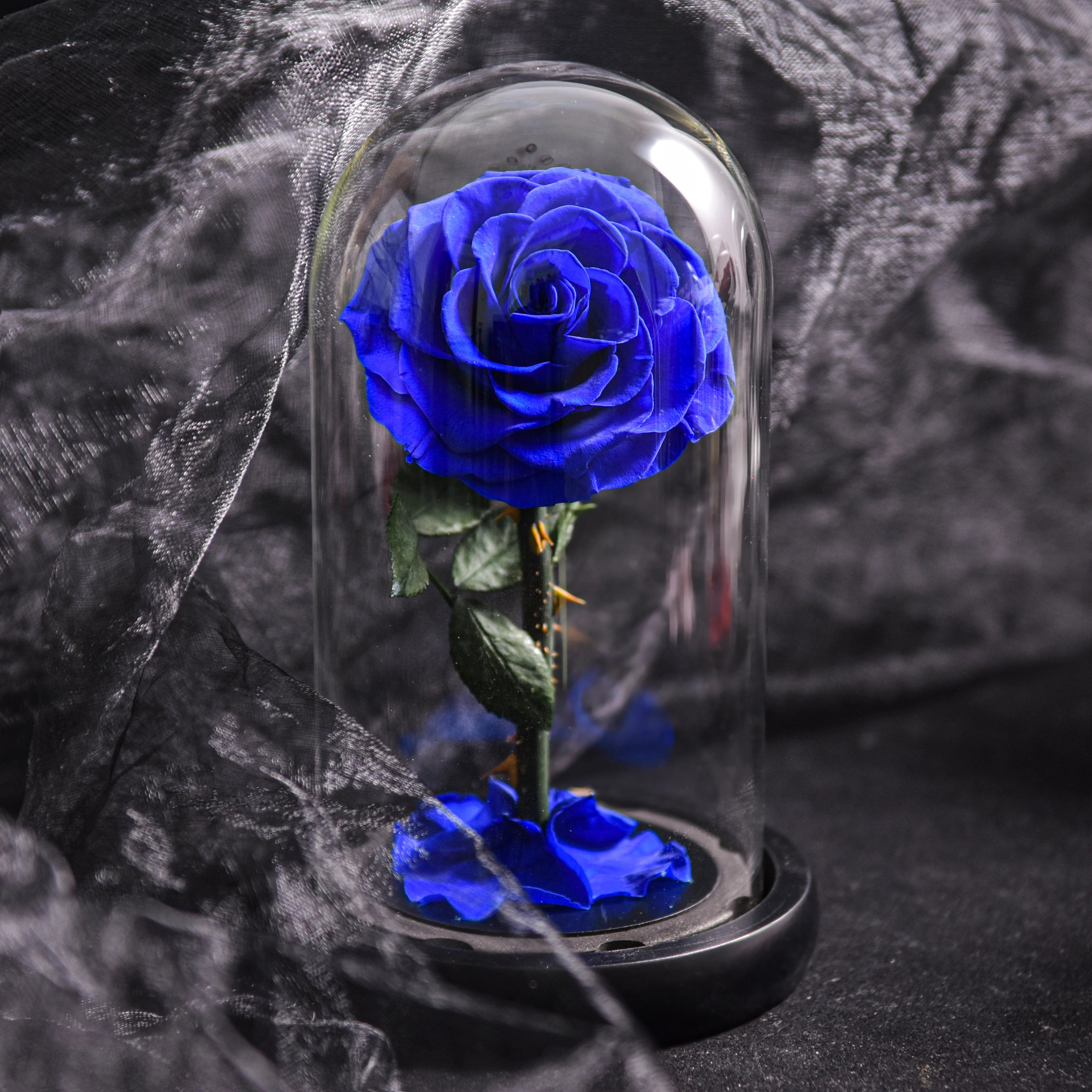 Preserved Glass Dome Rose - Luxury Romantic Gift for Valentine's Day