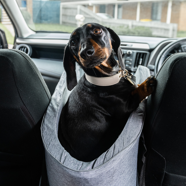 SafePup Voyager | Car seat for YOUR FOUR-LEGGED FRIEND