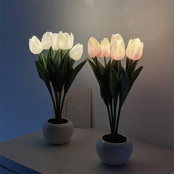 Tulip nattlampe