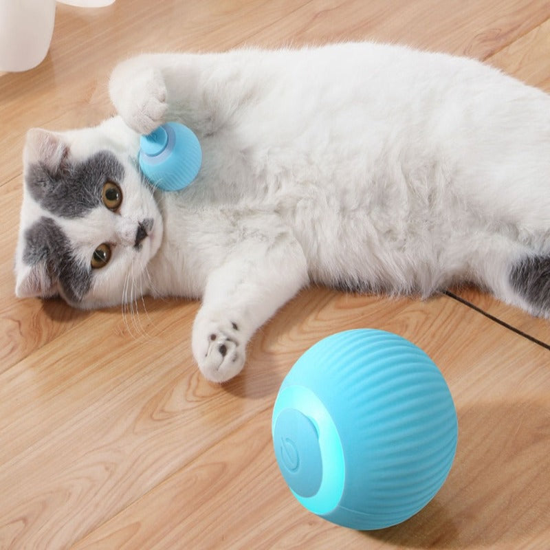 RoboRoller | Automatic Rolling Magic Ball for cats and dogs